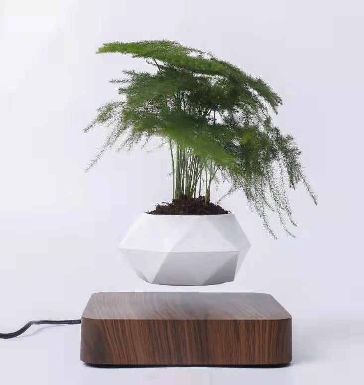 Schwebender Blumentopf mit 360° Rotation – Levitating Flower Pot