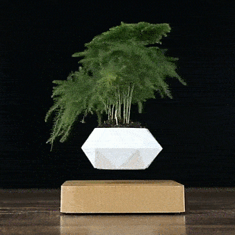 Schwebender Blumentopf mit 360° Rotation – Levitating Flower Pot