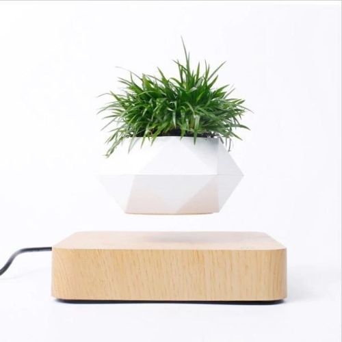 Schwebender Blumentopf mit 360° Rotation – Levitating Flower Pot
