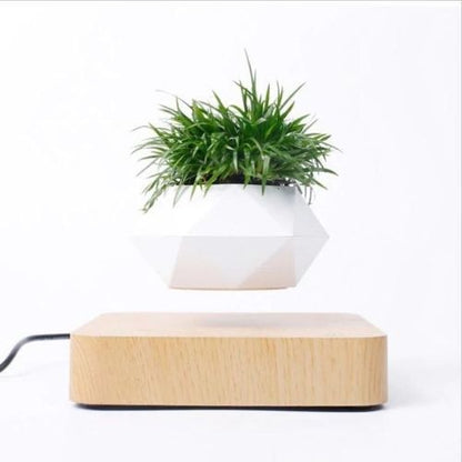 Schwebender Blumentopf mit 360° Rotation – Levitating Flower Pot