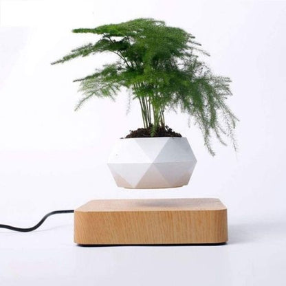 Schwebender Blumentopf mit 360° Rotation – Levitating Flower Pot