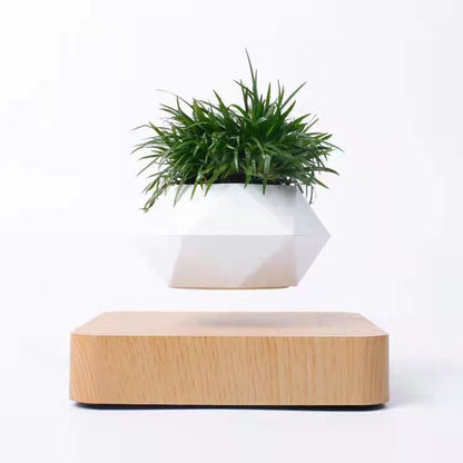 Schwebender Blumentopf mit 360° Rotation – Levitating Flower Pot