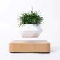 Schwebender Blumentopf mit 360° Rotation – Levitating Flower Pot